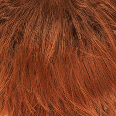 Hair fragment as a background composition