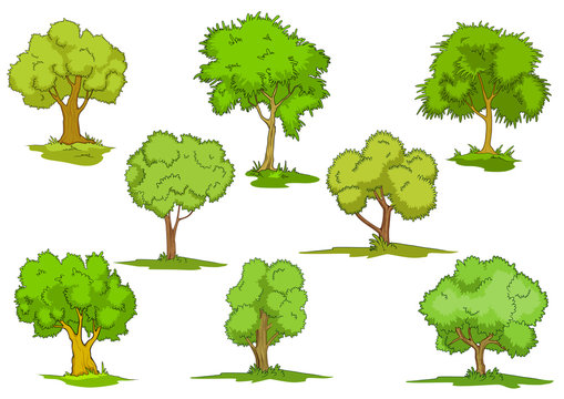 Set of leafy green trees