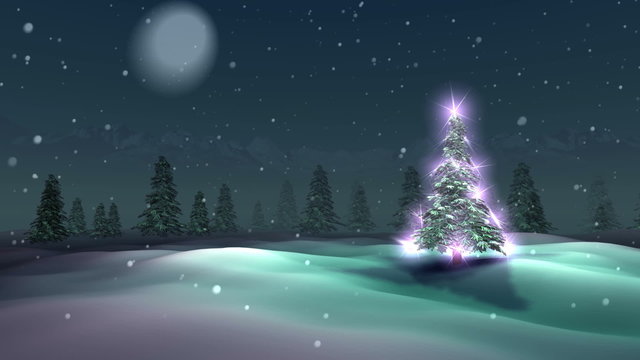 Christmas tree night magic loop