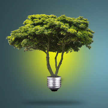 Idea Plant light bulb
