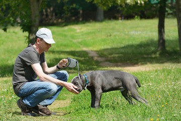Man walking with his dog