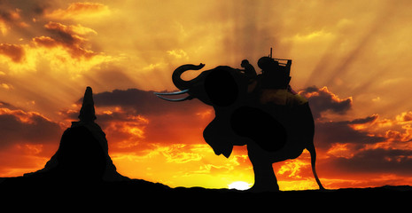Obraz na płótnie Canvas Elephant silhouette in thailand