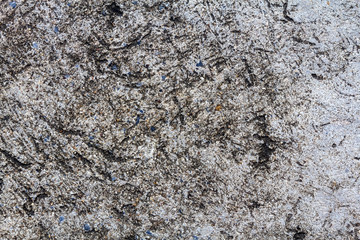 Cement wall texture