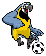 macaw bird playing soccer