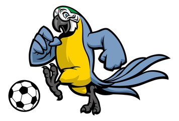 Obraz premium macaw bird soccer mascot