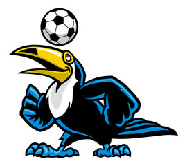 toucan bird play soccer