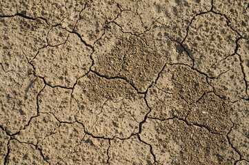Dry ground texture 2