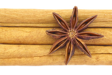 anise and cinnamon isolated on a white