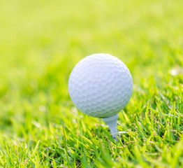 Golf ball on green grass