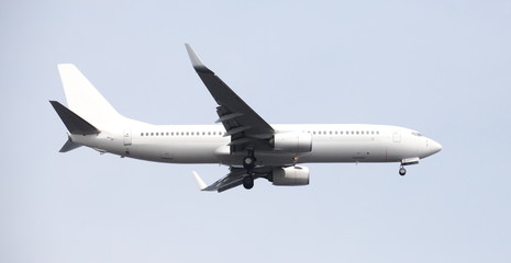 Fototapeta na wymiar airplane fly before landing at the airport