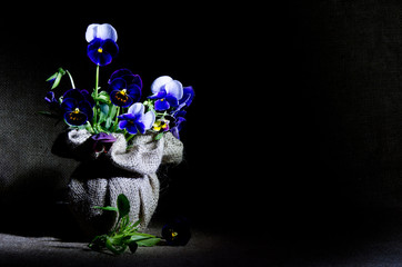 Luxury bouquet of pansies in a vase