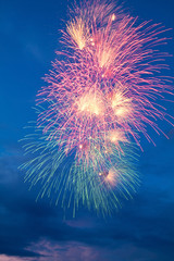 Colorful fireworks on the blue cloudy sky