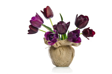 Beautiful purple tulips in a vase decoration in burlap isolated