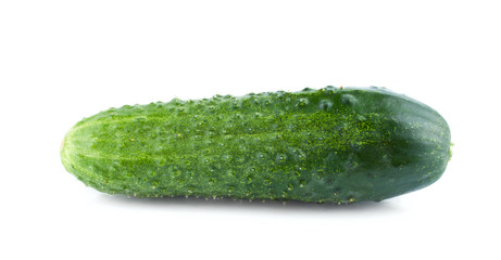 Single green and prickly cucumber