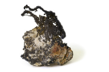 Native silver from Germany. 4cm high.