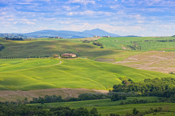 Fototapeta na wymiar Classical rural landscape in Tuscany early in morning in summer