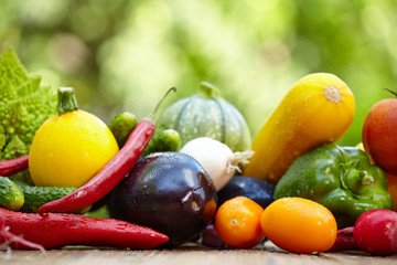 Fresh organic vegetables ane fruits on wood table in the garden - obrazy, fototapety, plakaty