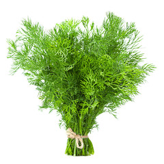 Dill herb isolated