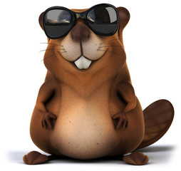 Fototapeta premium Beaver