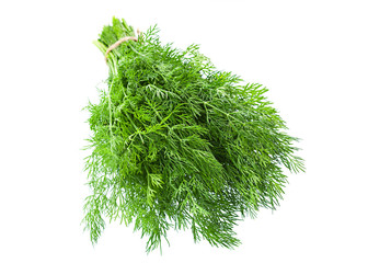 Dill herb