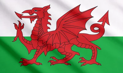 Crédence de cuisine en verre imprimé Lieux européens Agitant le drapeau du Pays de Galles