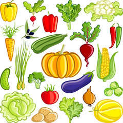 Vegetable's collection