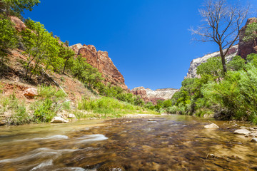 Fototapeta na wymiar Landscape of Zion National Park, Utah, USA