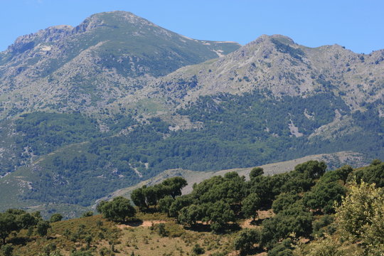 Massif montagneux corse vu de Santa-Lucia-di-Mercurio