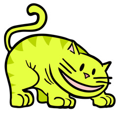 Yellow cat