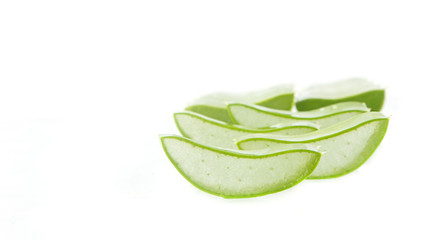 Aloe vera plant on white