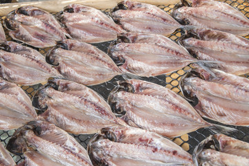 アジの干物
