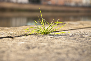 Hard life - concept image