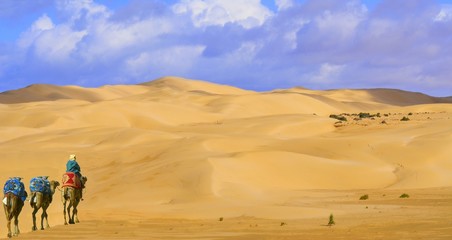 Fototapeta na wymiar dans le désert