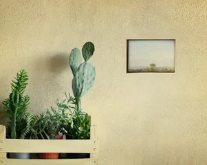 Foto op Canvas Succulents and cacti © vali_111
