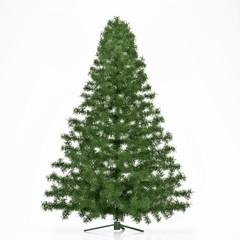 Christmas undecorated tree  isolated