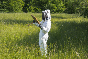 Beekeeper at work
