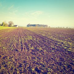 Plowed Fields
