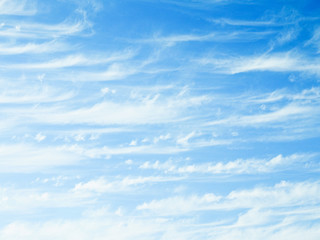 Fototapeta premium ほうき雲