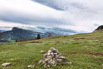tracollet the park of the Vercors, department of Isere, France