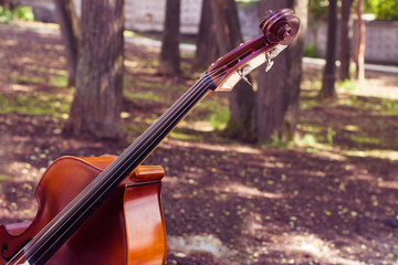 Cello in a landscape.