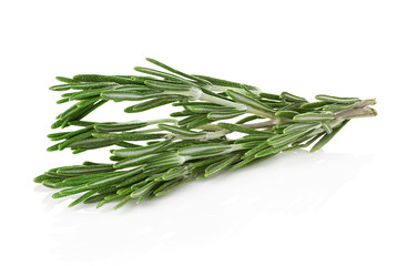 rosemary isolated on white background