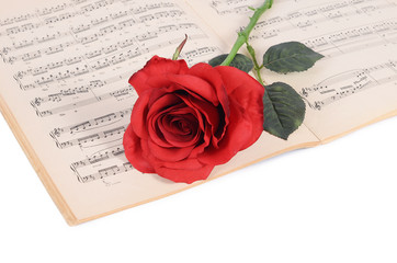 Fototapeta premium The rose on notebooks with notes