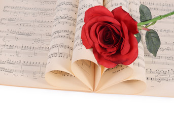 The rose on notebooks with notes
