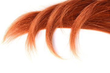 Beautiful red hair isolated on white background