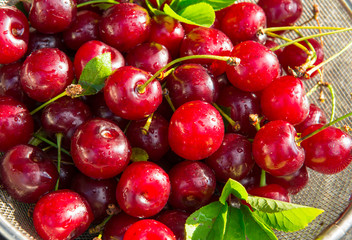 Naklejka na ściany i meble Fresh cherry in colander on wooden table