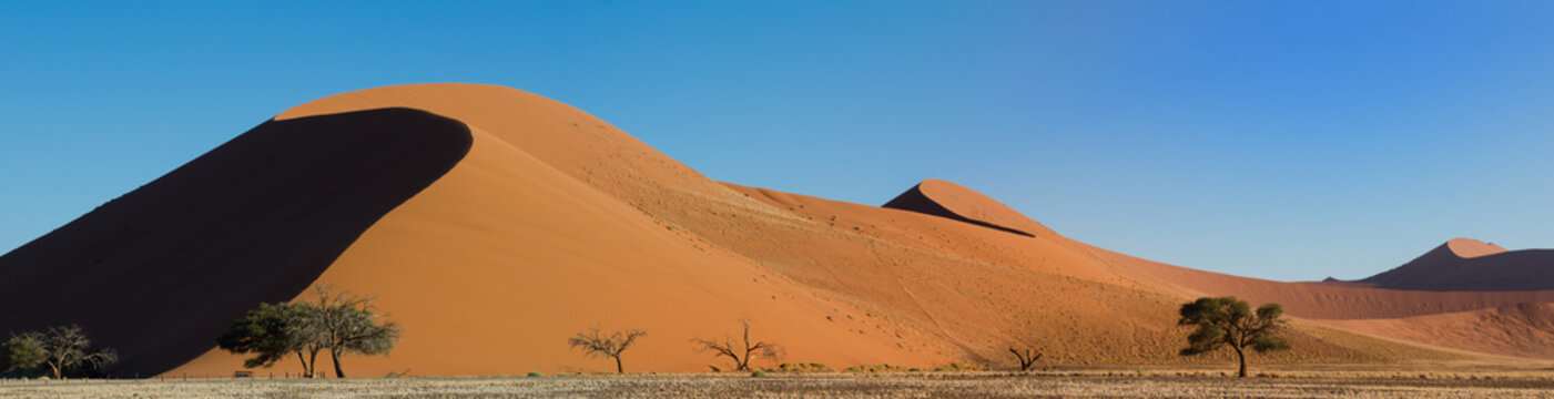 Panorama Of Dune 45