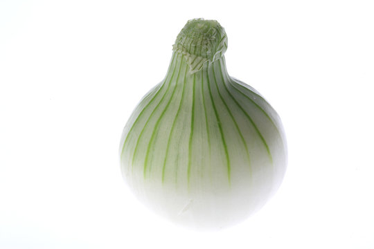 Cebula