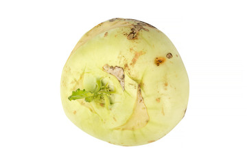 kohlrabi cabbage
