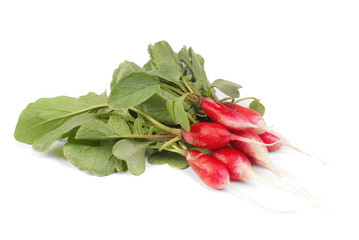 fresh radish isolated on white background