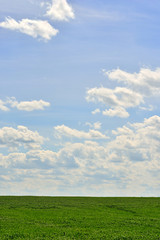 Fototapeta na wymiar Green field and blue sky